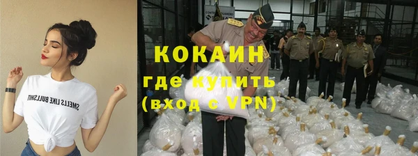стаф Алексин