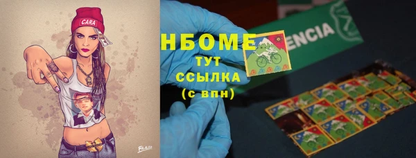 стаф Алексин