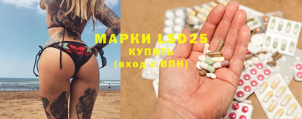 стаф Алексин