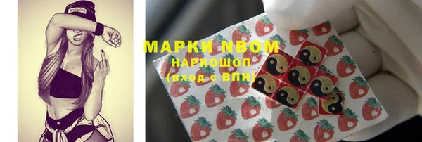 стаф Алексин