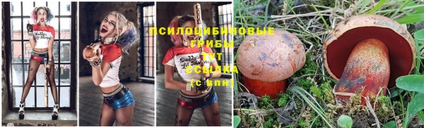 молекула духа Алексеевка