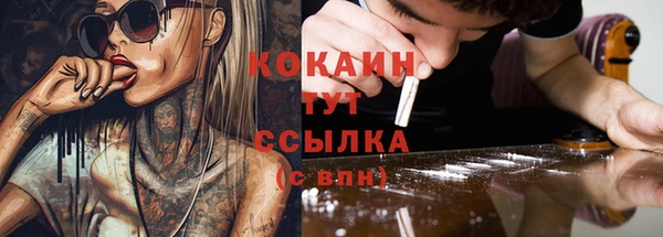 молекула духа Алексеевка