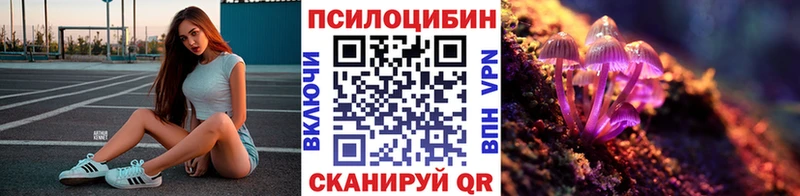 Псилоцибиновые грибы GOLDEN TEACHER  наркота  Набережные Челны 