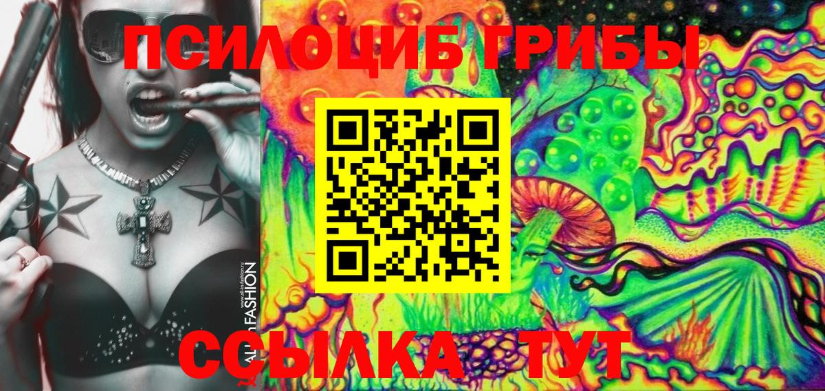 Набережные Челны  Псилоцибиновые грибы Psilocybe  Вход с VPN  Псилоцибиновые грибы Psilocybe 